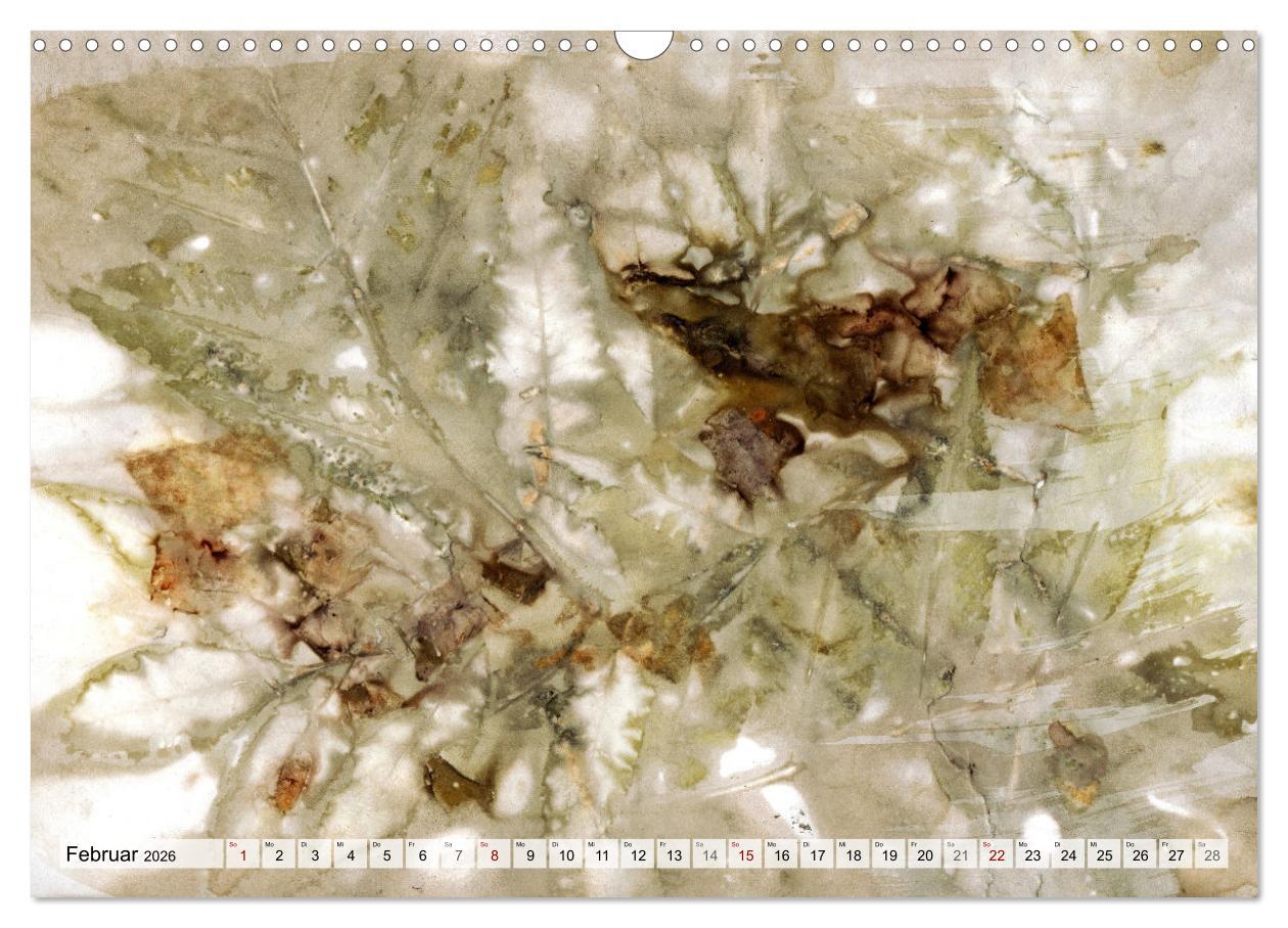 Beispielinhalt (Bild) Botanical Printing - Magische Pflanzendrucke (Wandkalender 2026 DIN A3 quer), CALVENDO Monatskalender