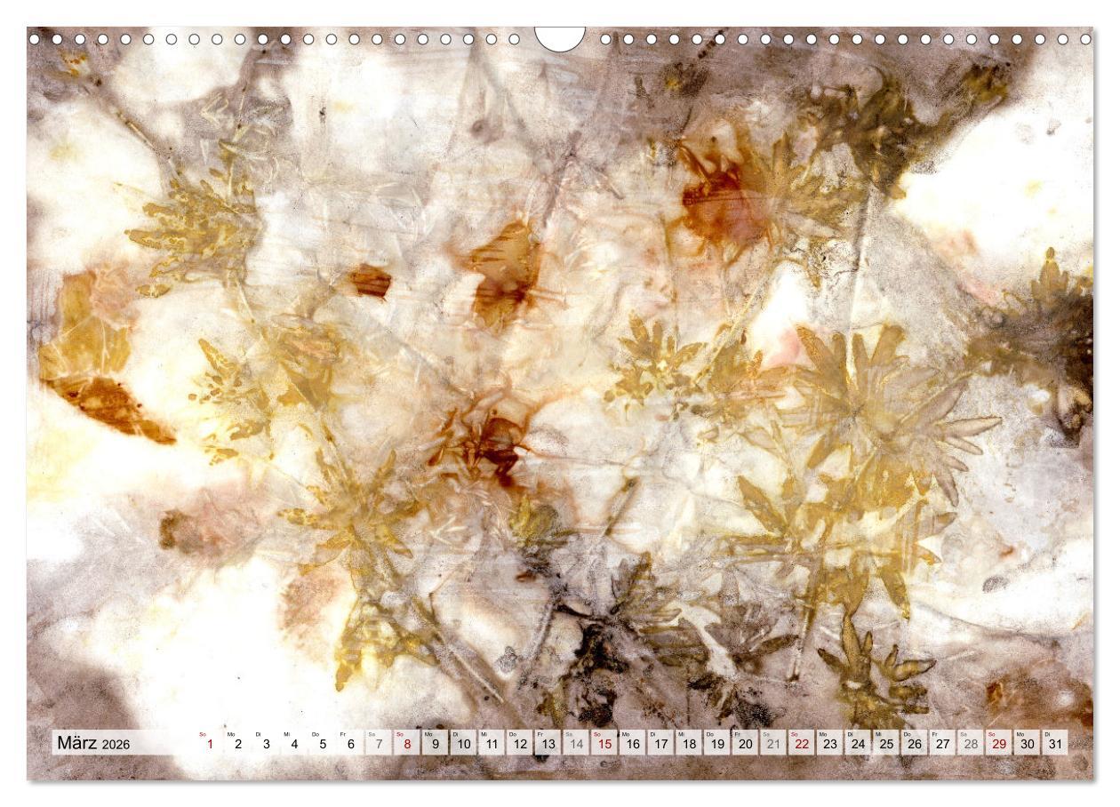 Beispielinhalt (Bild) Botanical Printing - Magische Pflanzendrucke (Wandkalender 2026 DIN A3 quer), CALVENDO Monatskalender