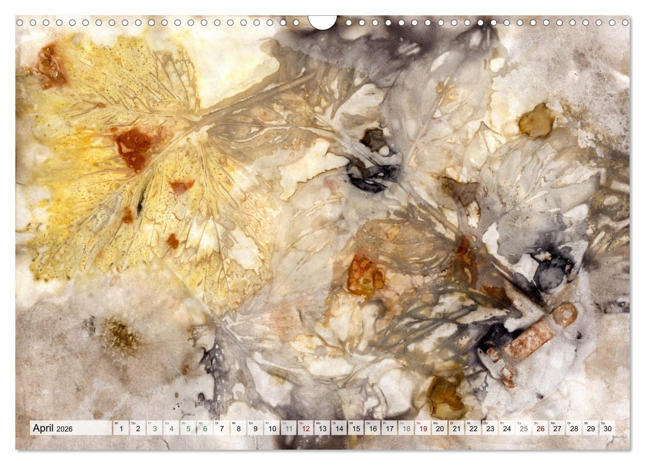 Beispielinhalt (Bild) Botanical Printing - Magische Pflanzendrucke (Wandkalender 2026 DIN A3 quer), CALVENDO Monatskalender