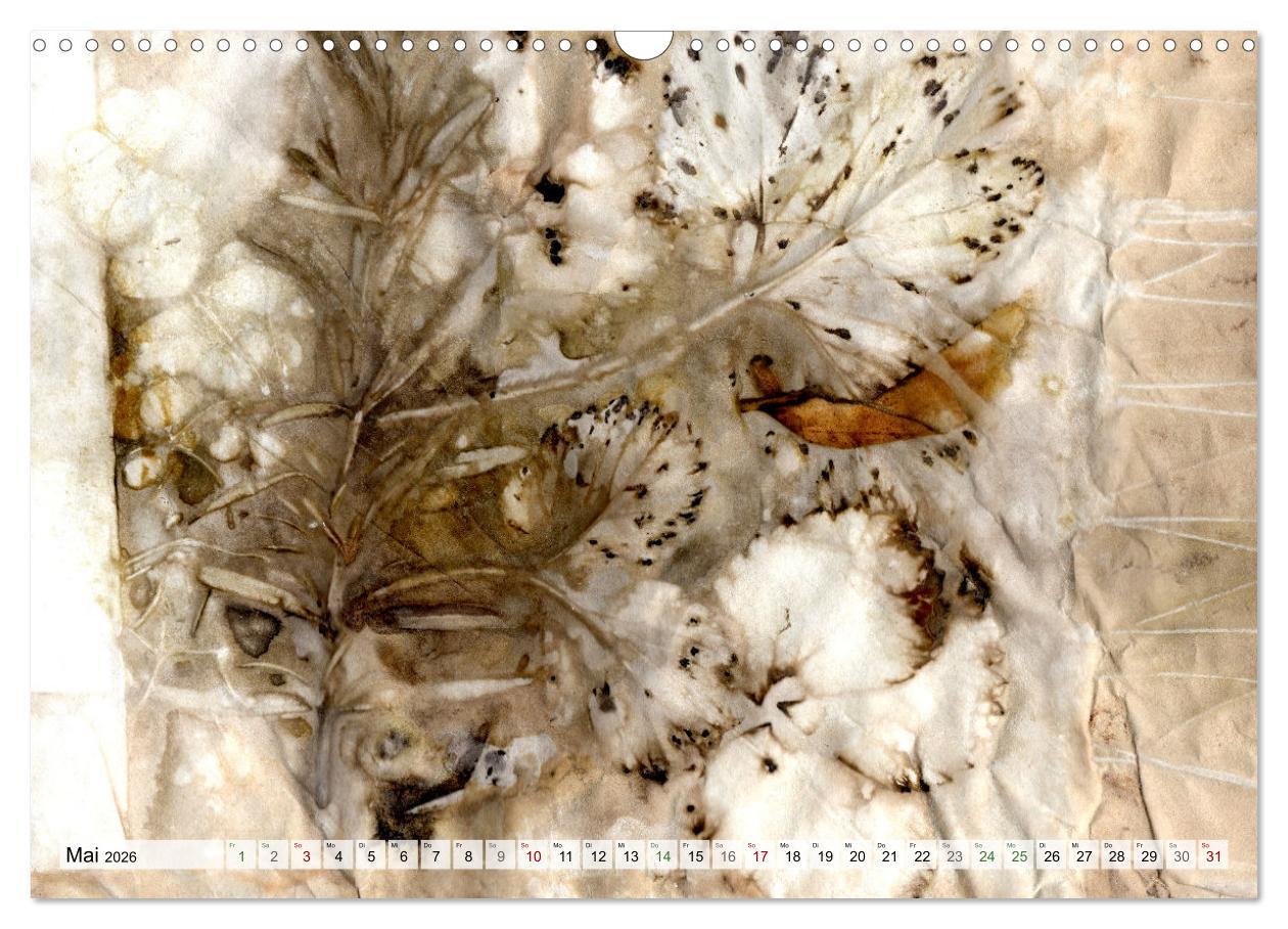 Beispielinhalt (Bild) Botanical Printing - Magische Pflanzendrucke (Wandkalender 2026 DIN A3 quer), CALVENDO Monatskalender
