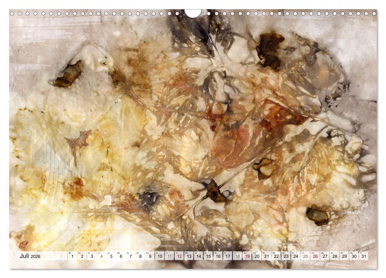 Beispielinhalt (Bild) Botanical Printing - Magische Pflanzendrucke (Wandkalender 2026 DIN A3 quer), CALVENDO Monatskalender