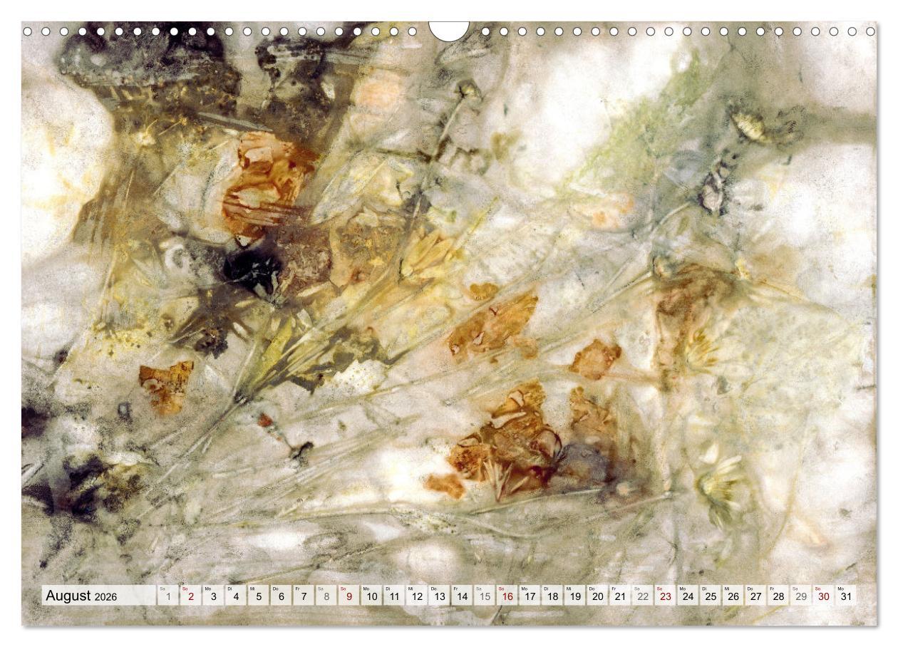 Beispielinhalt (Bild) Botanical Printing - Magische Pflanzendrucke (Wandkalender 2026 DIN A3 quer), CALVENDO Monatskalender