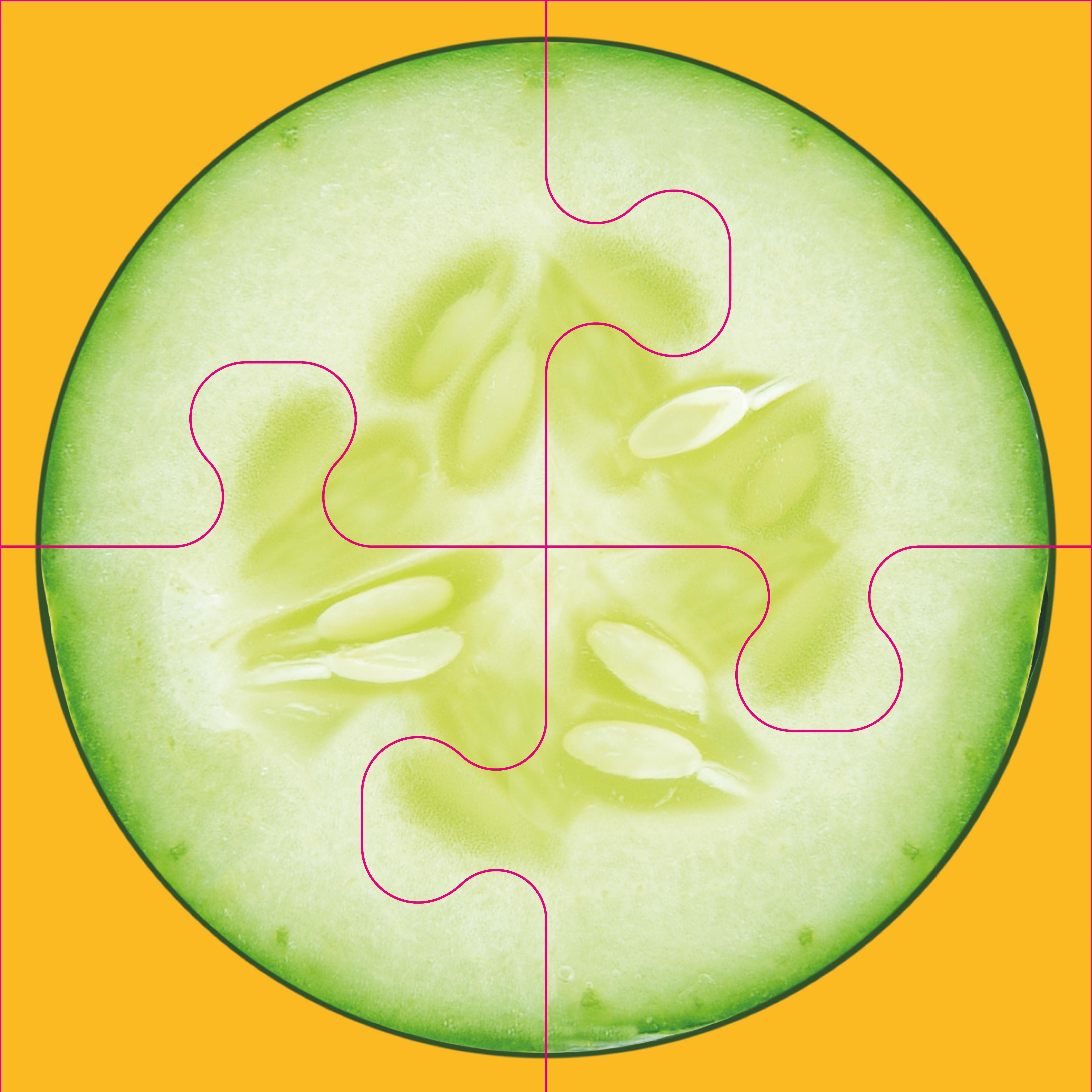 Beispielinhalt (Bild) Das "Gelingt immer"-Puzzle Gemüse. Das Puzzle-Spiel für Senioren mit Demenz