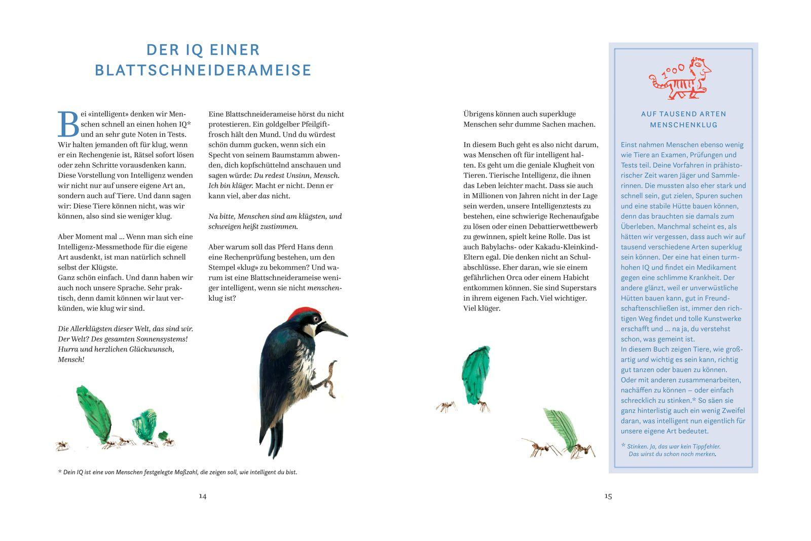 Beispielinhalt (Bild) Schlauer, als du denkst