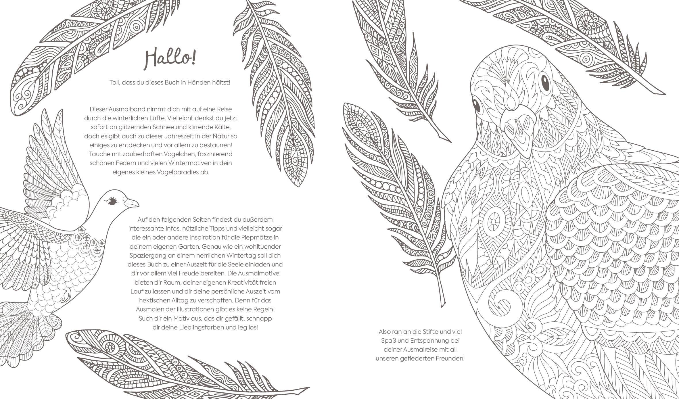 Beispielinhalt (Bild) Ausmalreise Winterliche Vogelwelt
