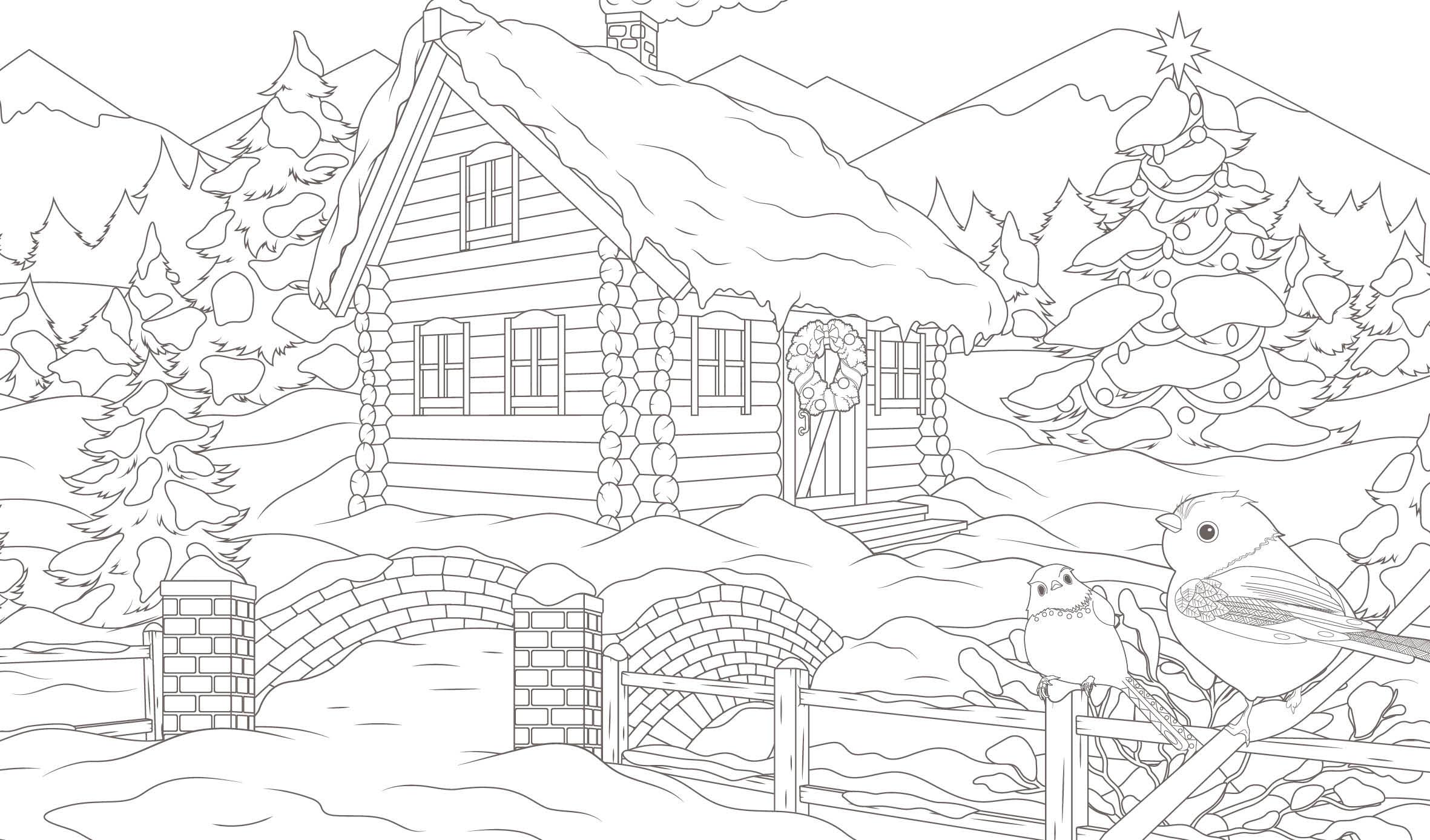 Beispielinhalt (Bild) Ausmalreise Winterliche Vogelwelt