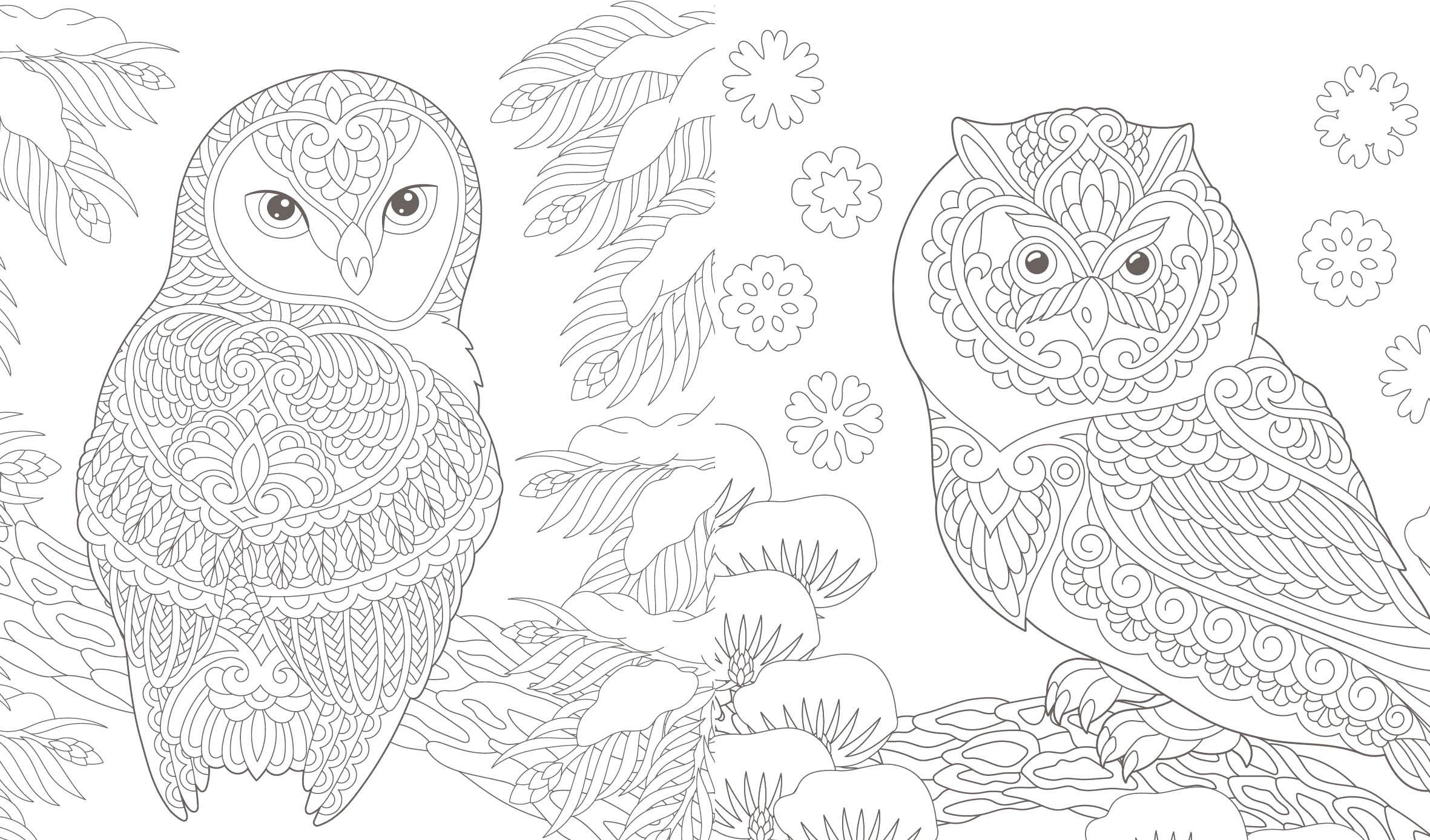 Beispielinhalt (Bild) Ausmalreise Winterliche Vogelwelt