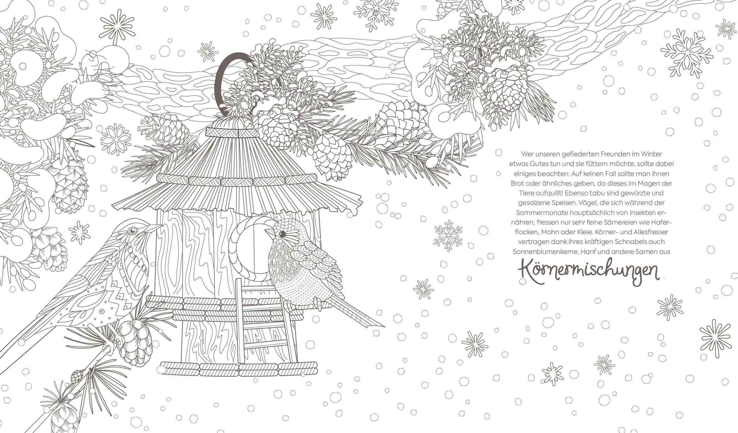 Beispielinhalt (Bild) Ausmalreise Winterliche Vogelwelt