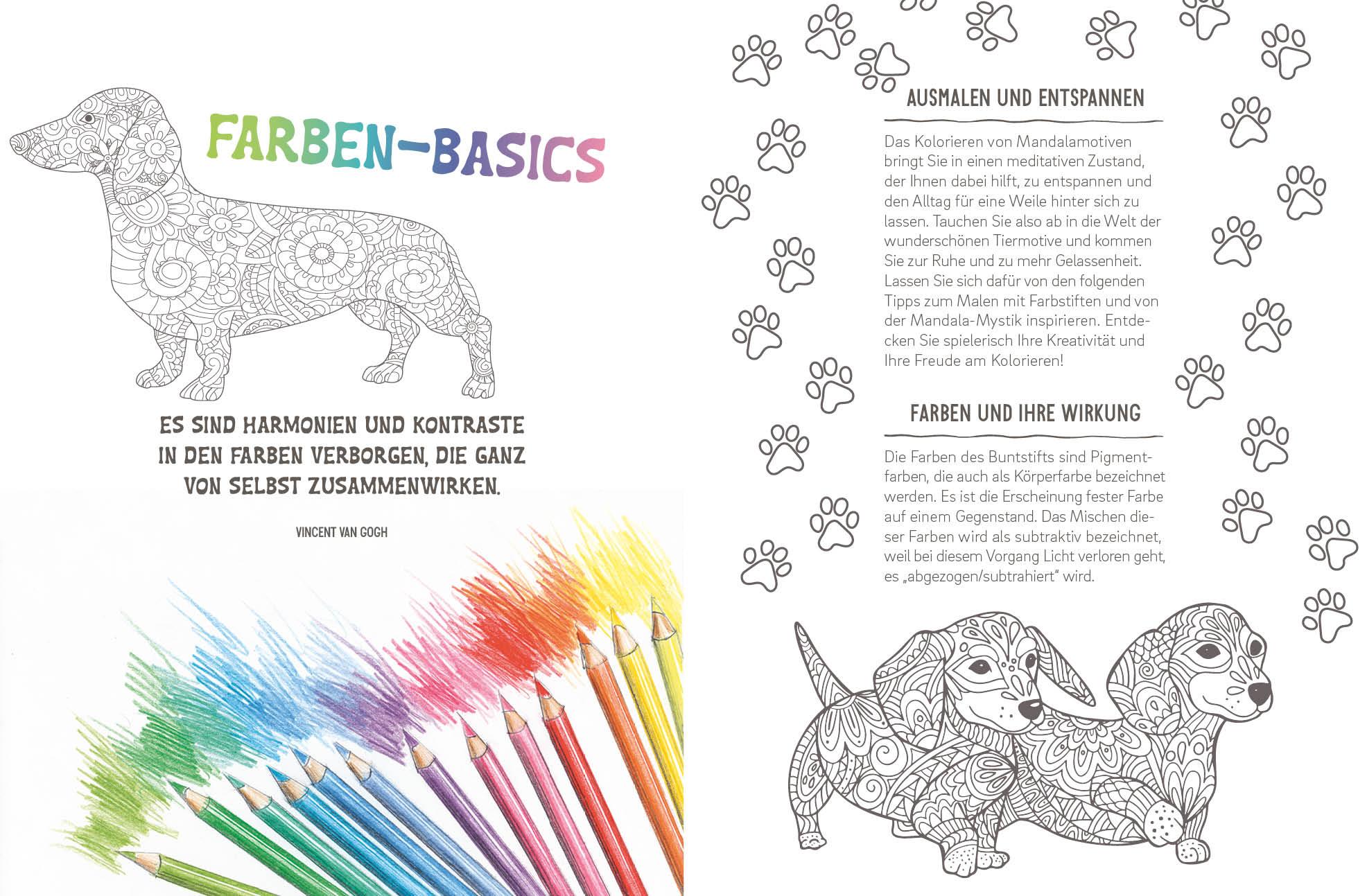 Beispielinhalt (Bild) Colorful Mandala - Tierisch verliebt