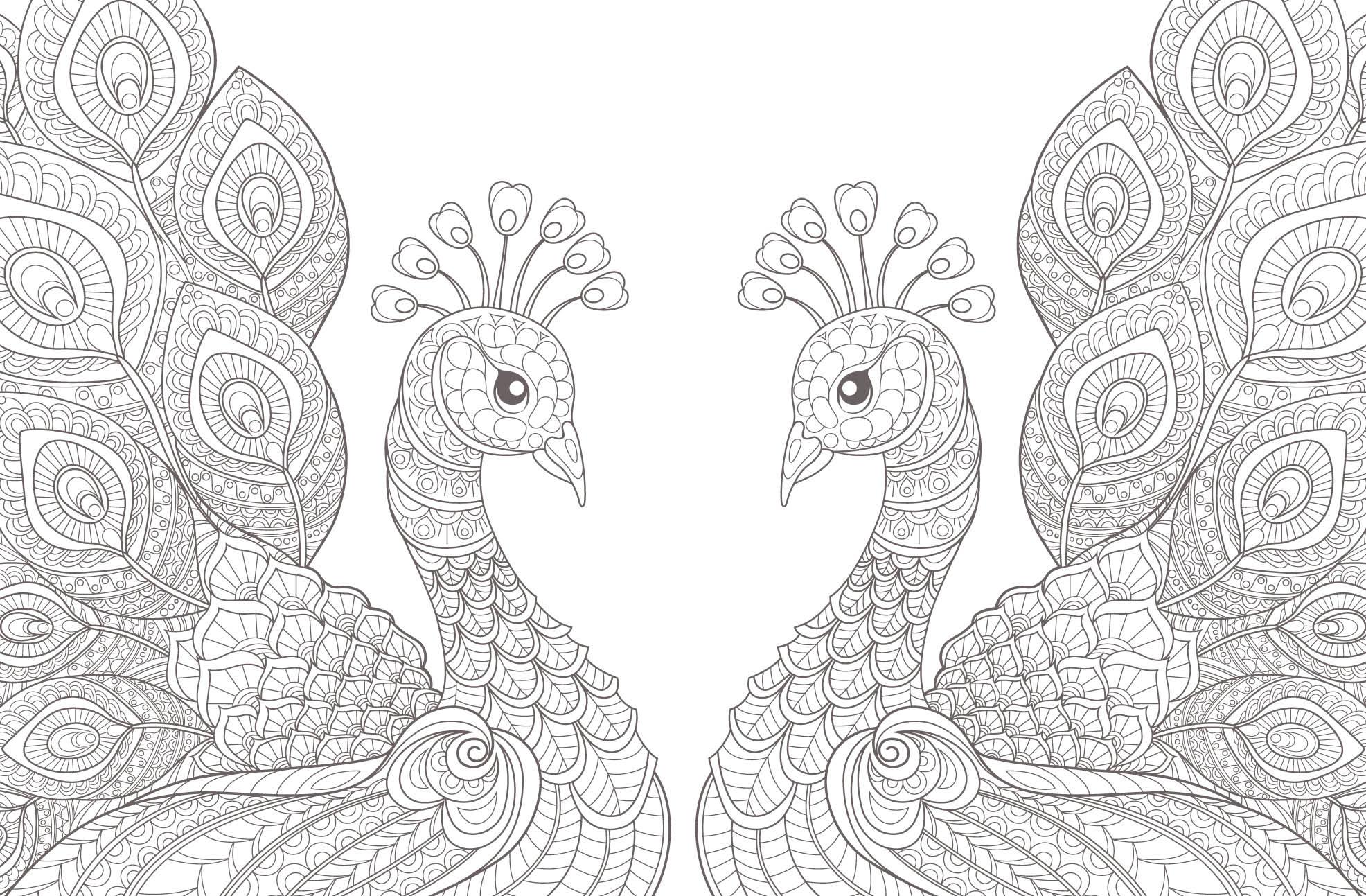 Beispielinhalt (Bild) Colorful Mandala - Tierisch verliebt