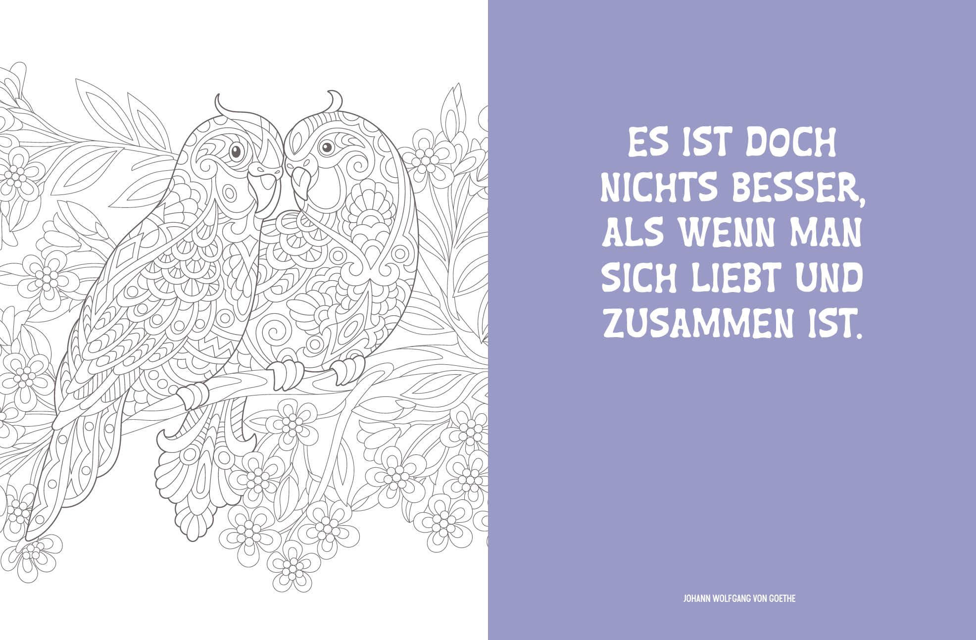 Beispielinhalt (Bild) Colorful Mandala - Tierisch verliebt