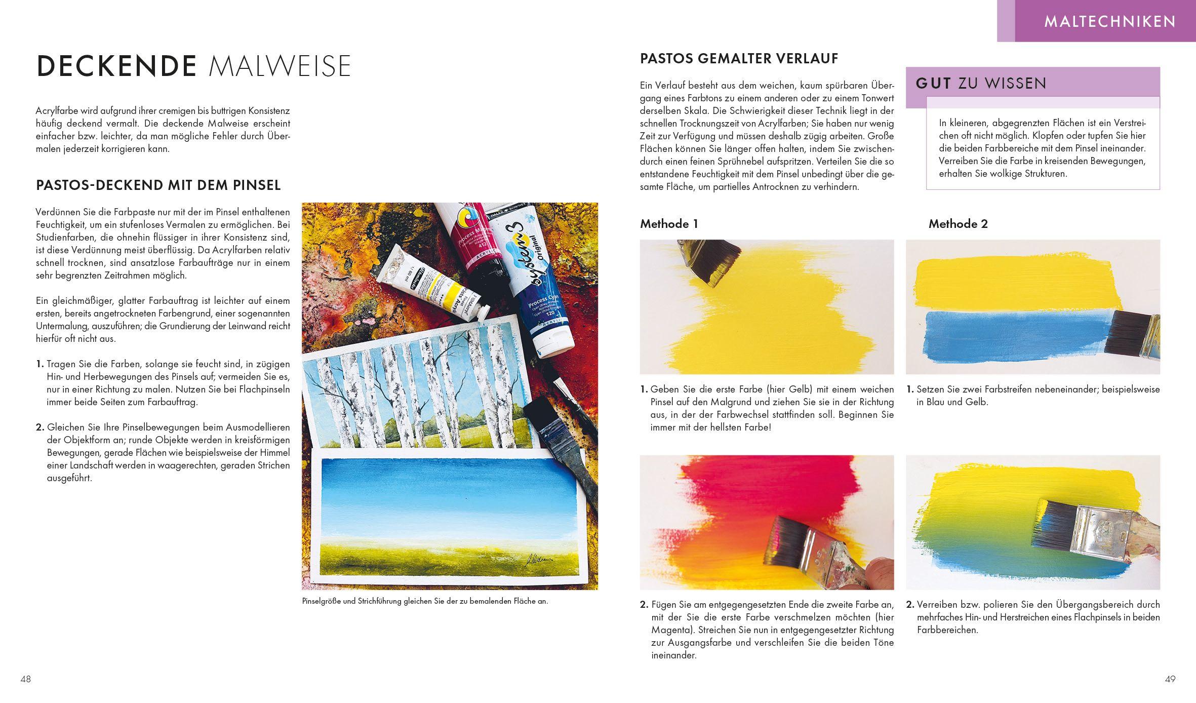 Beispielinhalt (Bild) Das Acryl-Praxisbuch