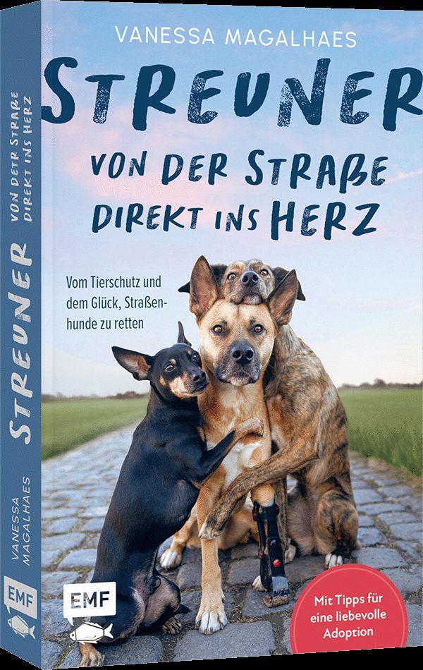 Vorderes Coverbild Streuner - von der Straße direkt ins Herz