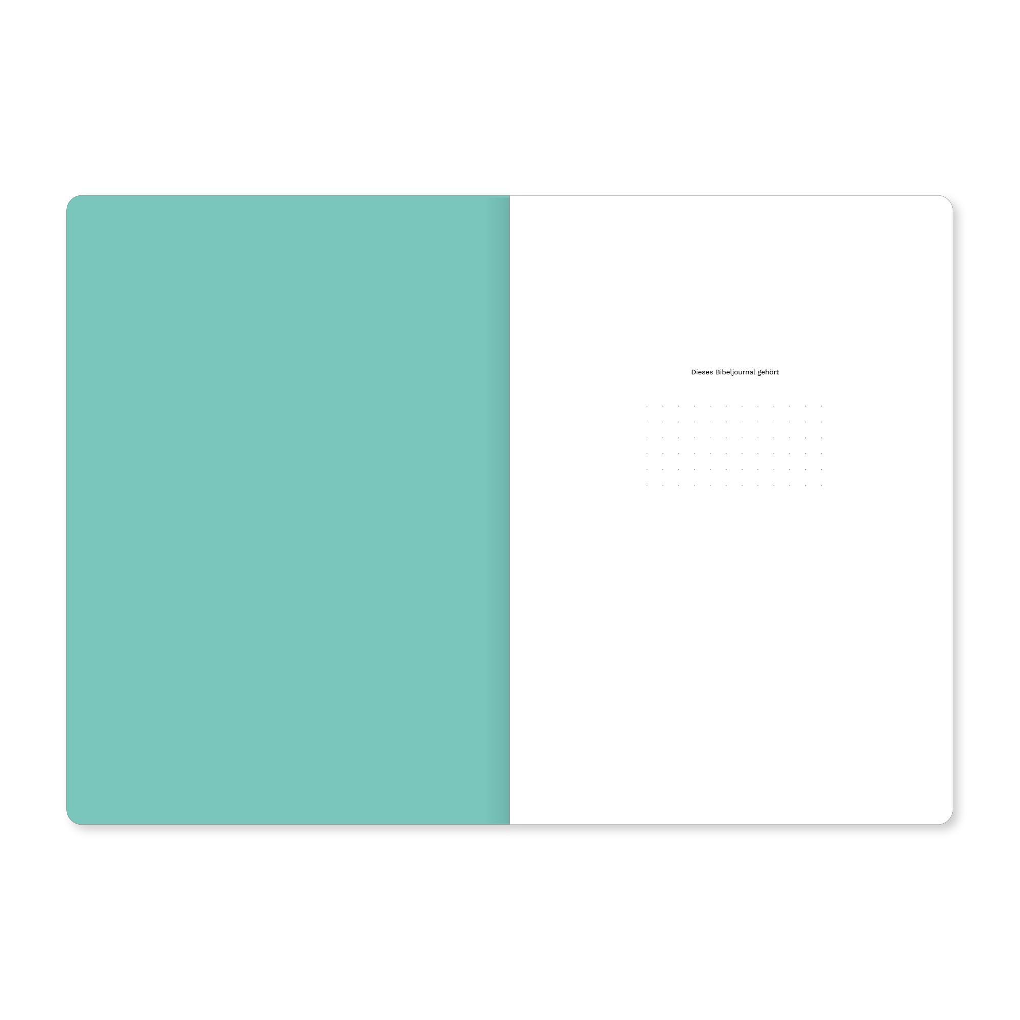 Beispielinhalt (Bild) 1. Korinther (Bibeljournal)