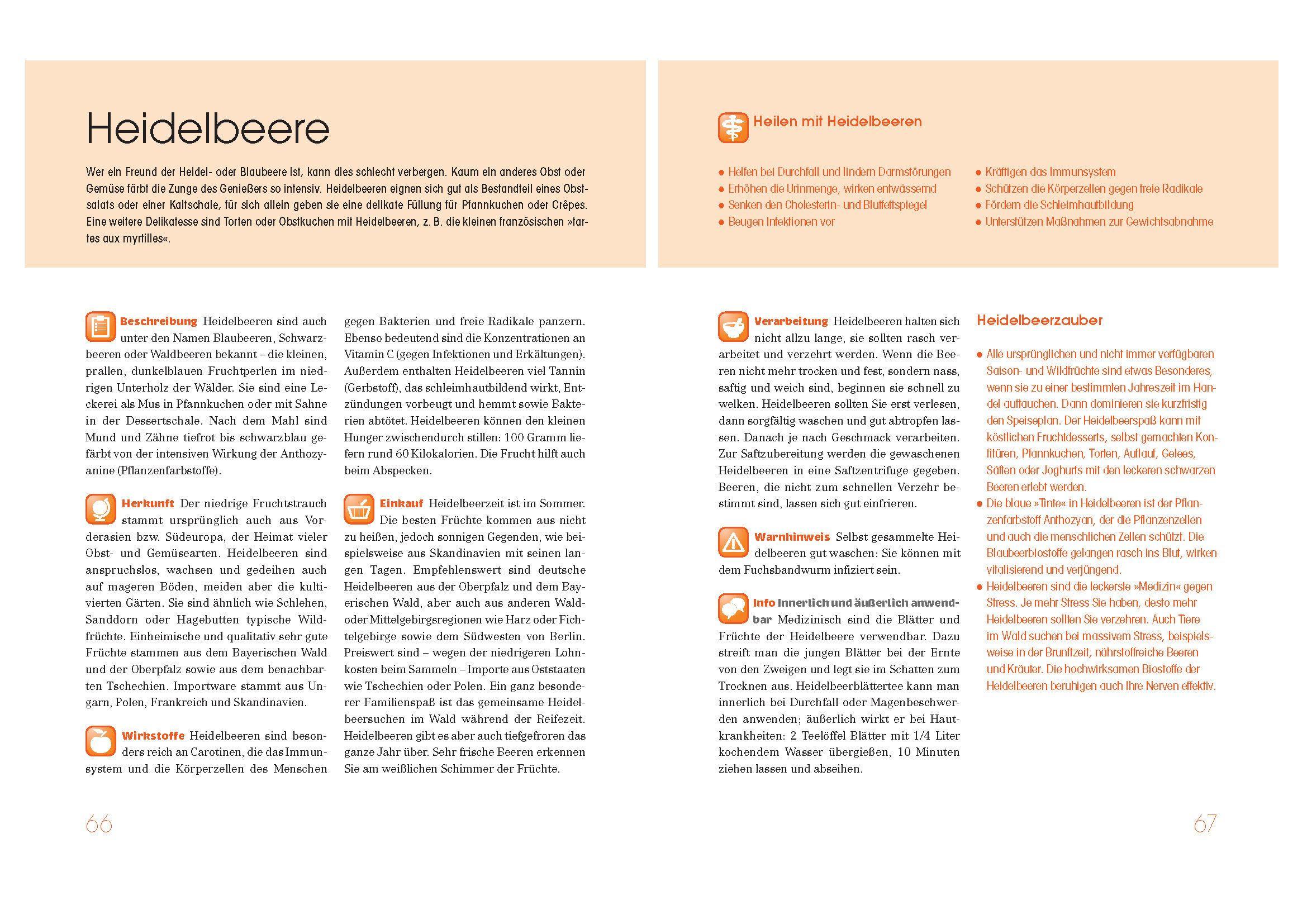 Beispielinhalt (Bild) Obst und Gemüse als Medizin. Die besten Nahrungsmittel für Ihre Gesundheit