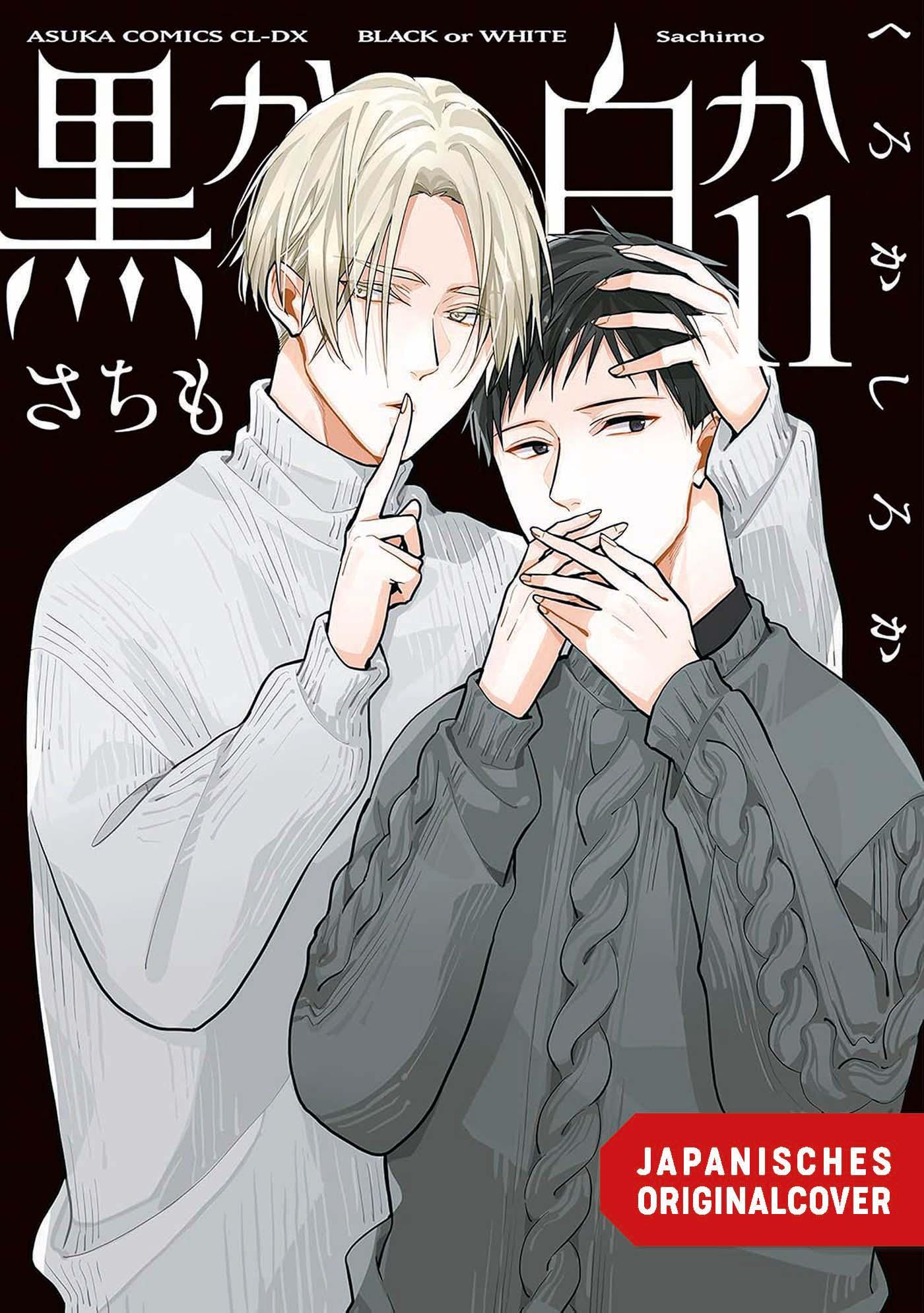 Vorderes Coverbild Black or White 11