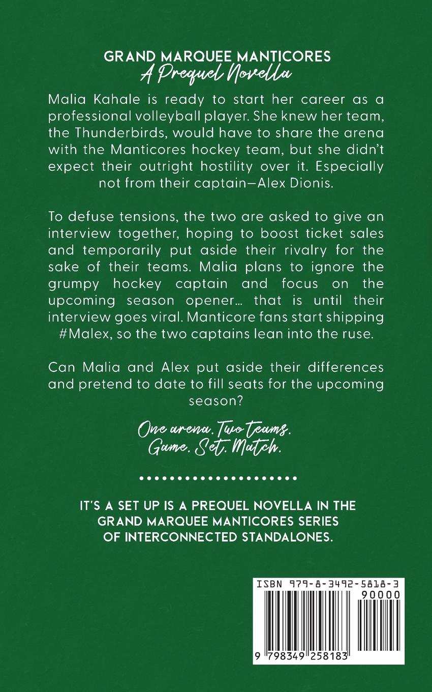 Rückseitencover It's A Set Up