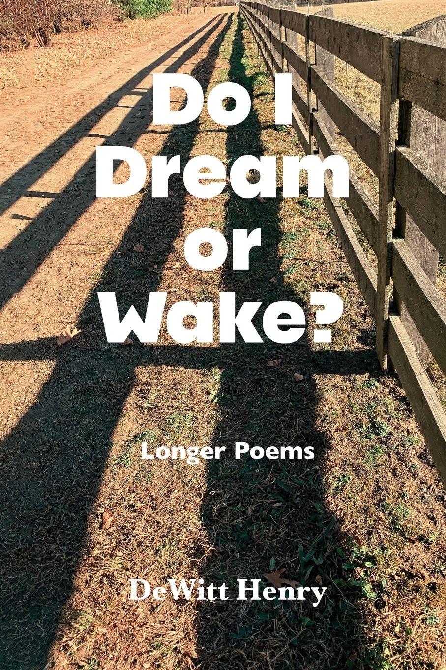 Vorderes Coverbild Do I Dream Or Wake?