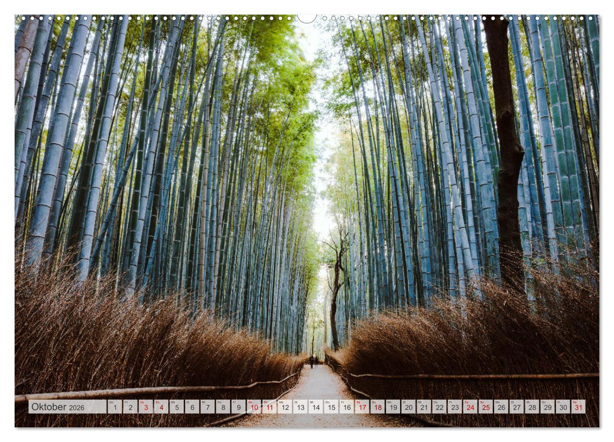 Beispielinhalt (Bild) Wälder der Welt (hochwertiger Premium Wandkalender 2026 DIN A2 quer), Kunstdruck in Hochglanz