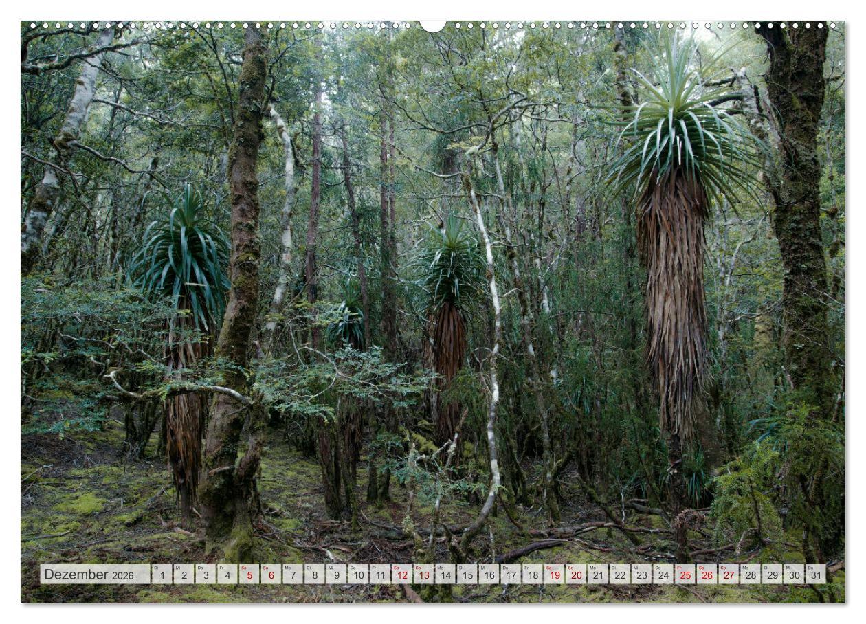 Beispielinhalt (Bild) Wälder der Welt (hochwertiger Premium Wandkalender 2026 DIN A2 quer), Kunstdruck in Hochglanz