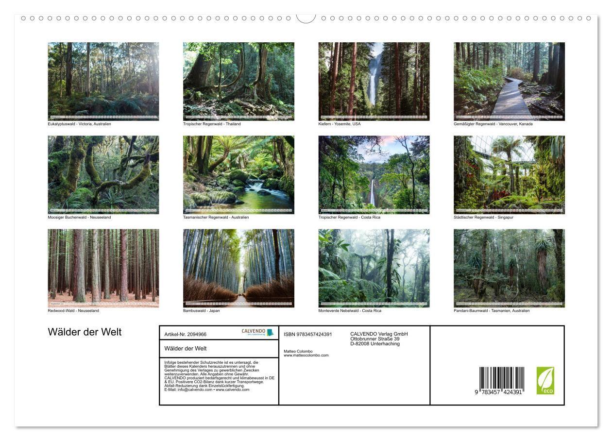 Beispielinhalt (Bild) Wälder der Welt (hochwertiger Premium Wandkalender 2026 DIN A2 quer), Kunstdruck in Hochglanz