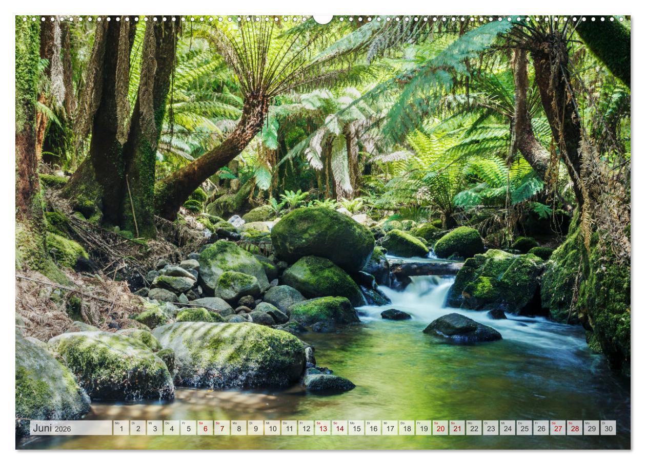 Beispielinhalt (Bild) Wälder der Welt (hochwertiger Premium Wandkalender 2026 DIN A2 quer), Kunstdruck in Hochglanz