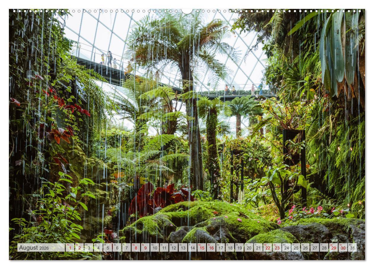 Beispielinhalt (Bild) Wälder der Welt (hochwertiger Premium Wandkalender 2026 DIN A2 quer), Kunstdruck in Hochglanz