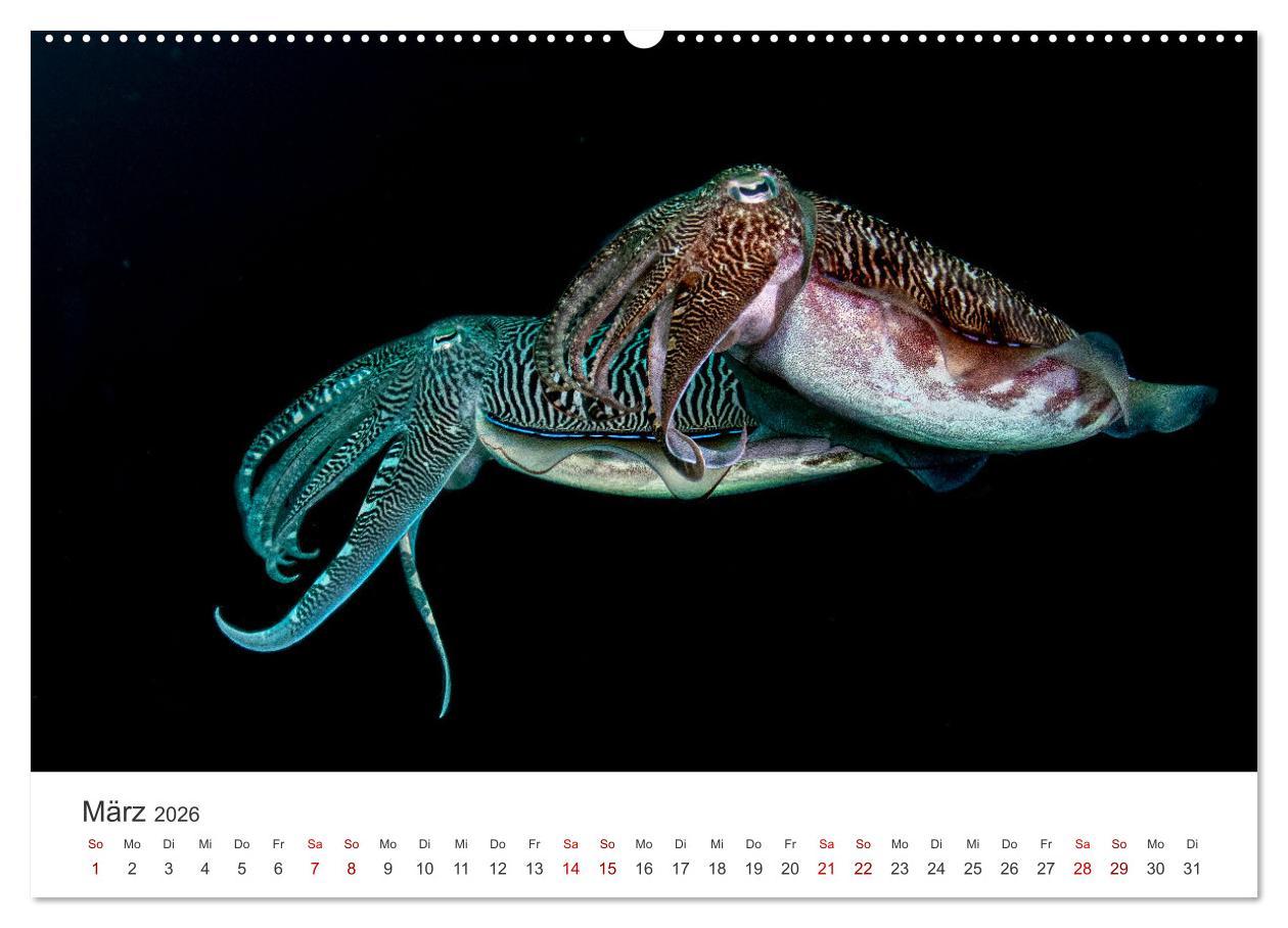 Beispielinhalt (Bild) Faszination blaue Welt (hochwertiger Premium Wandkalender 2026 DIN A2 quer), Kunstdruck in Hochglanz