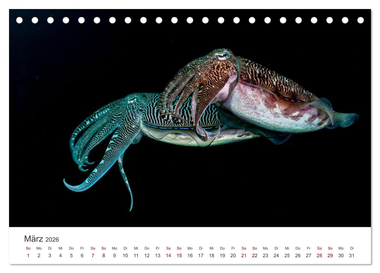 Beispielinhalt (Bild) Faszination blaue Welt (Tischkalender 2026 DIN A5 quer), CALVENDO Monatskalender