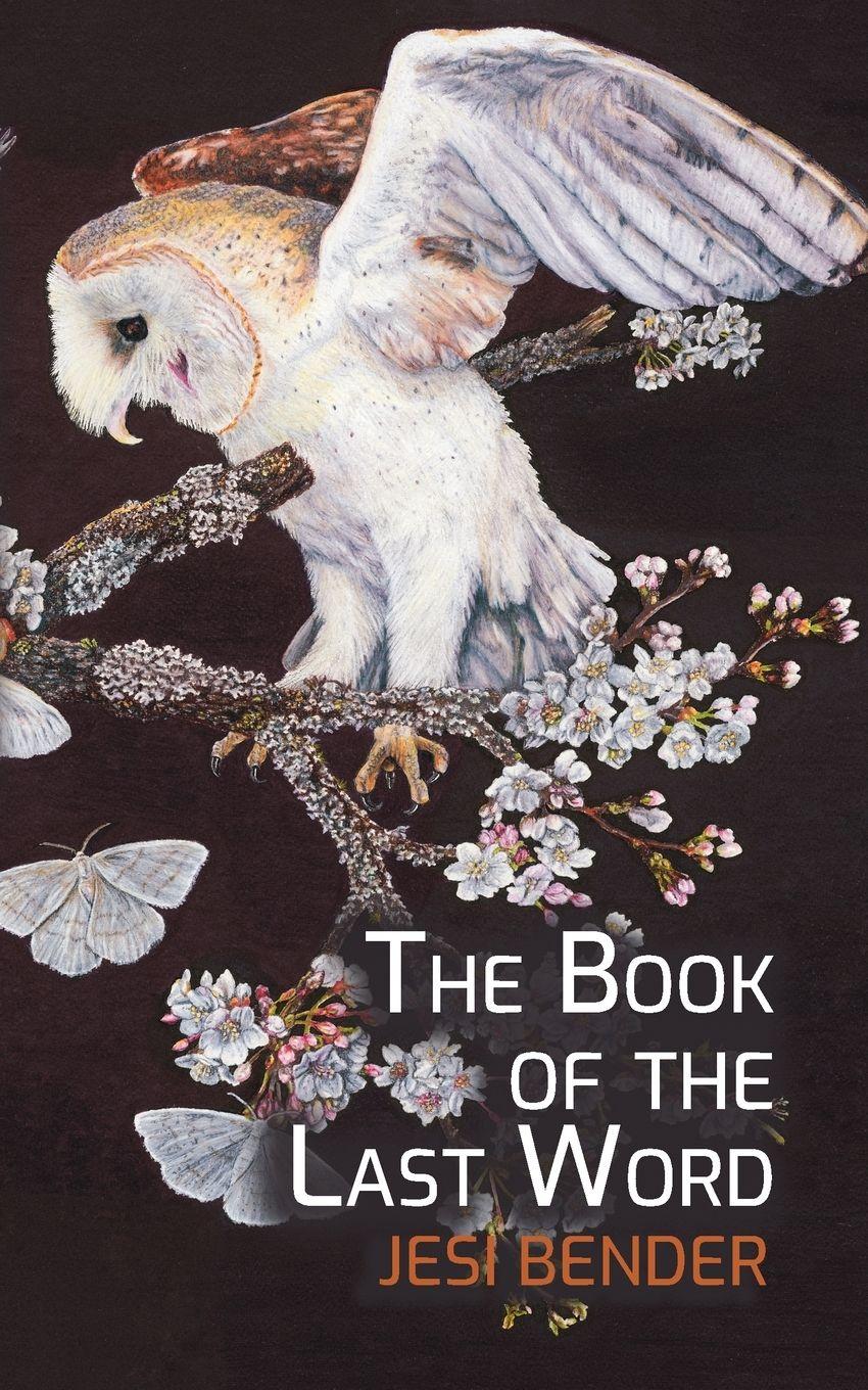 Vorderes Coverbild The Book of the Last Word