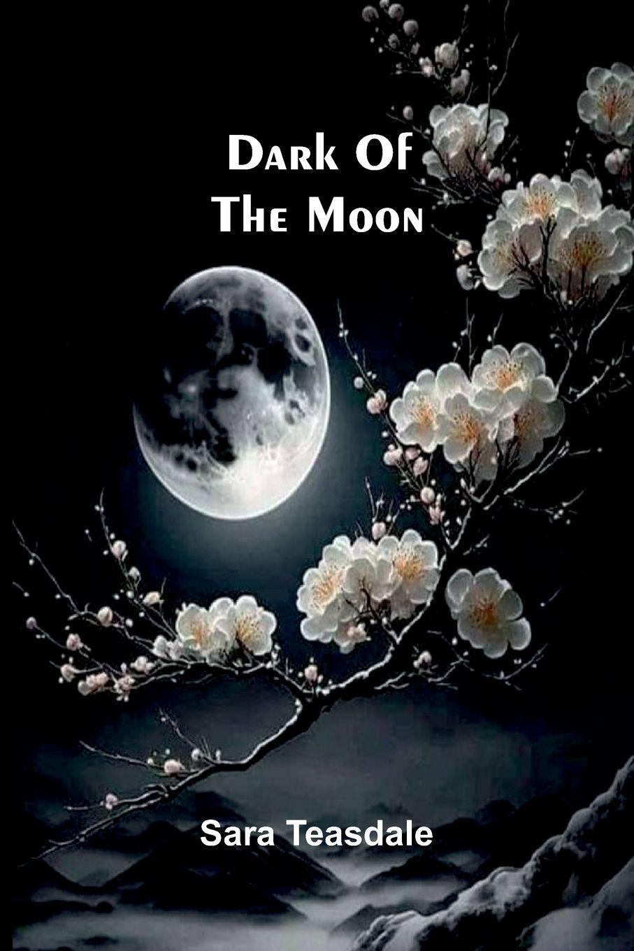 Vorderes Coverbild Dark Of The Moon