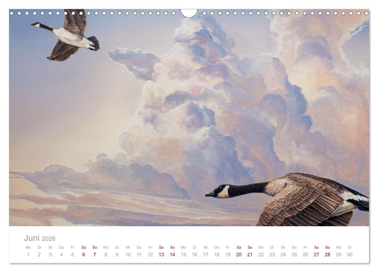 Beispielinhalt (Bild) Paradise, Ausblicke und Träumereien (Wandkalender 2026 DIN A3 quer), CALVENDO Monatskalender