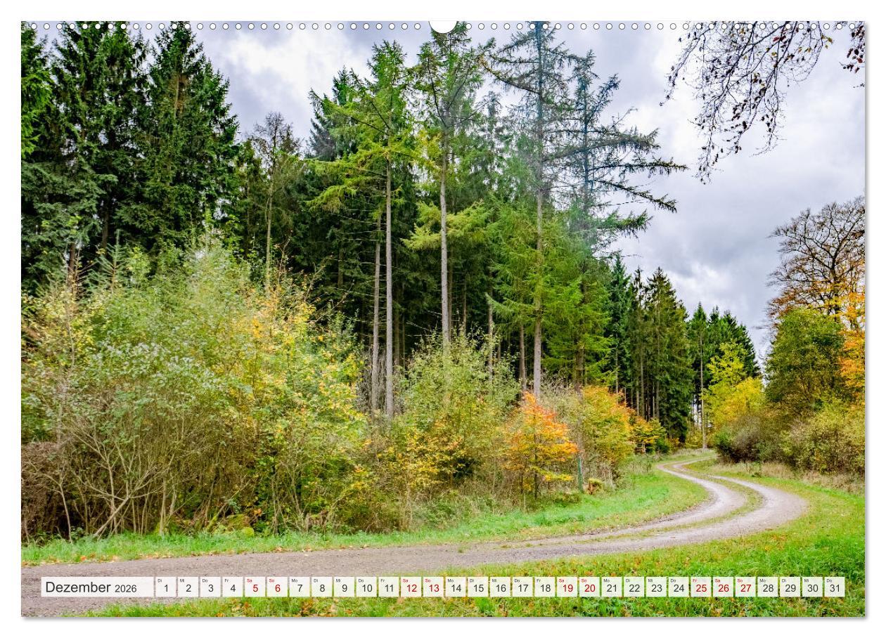 Beispielinhalt (Bild) Nationalpark Eifel - Schöne Tage im Grünen (hochwertiger Premium Wandkalender 2026 DIN A2 quer), Kunstdruck in Hochglanz