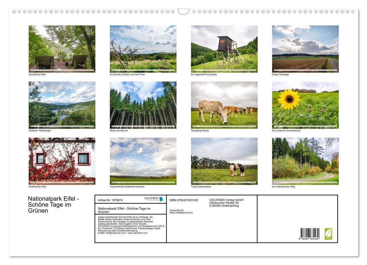 Beispielinhalt (Bild) Nationalpark Eifel - Schöne Tage im Grünen (Wandkalender 2026 DIN A2 quer), CALVENDO Monatskalender
