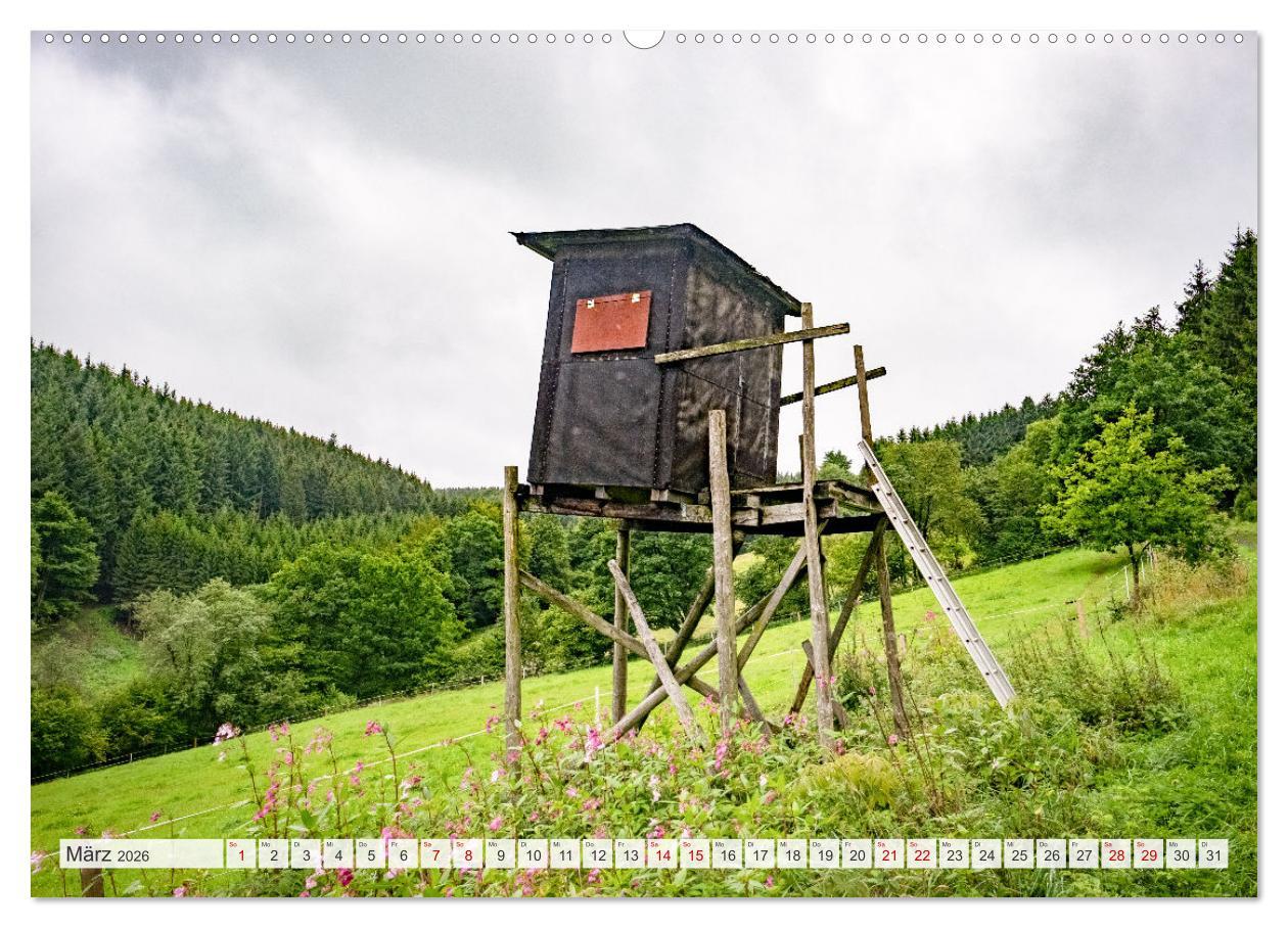 Beispielinhalt (Bild) Nationalpark Eifel - Schöne Tage im Grünen (Wandkalender 2026 DIN A2 quer), CALVENDO Monatskalender