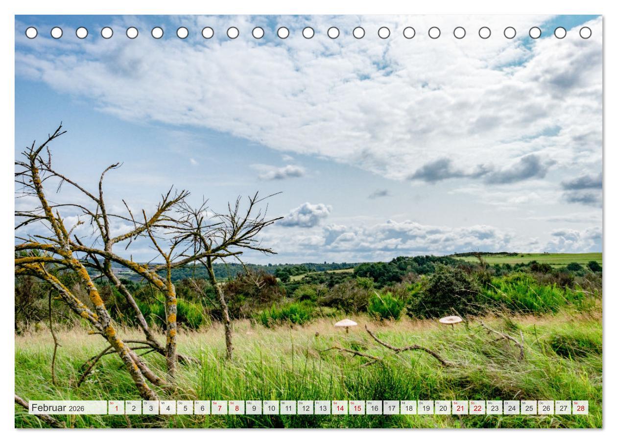Beispielinhalt (Bild) Nationalpark Eifel - Schöne Tage im Grünen (Tischkalender 2026 DIN A5 quer), CALVENDO Monatskalender