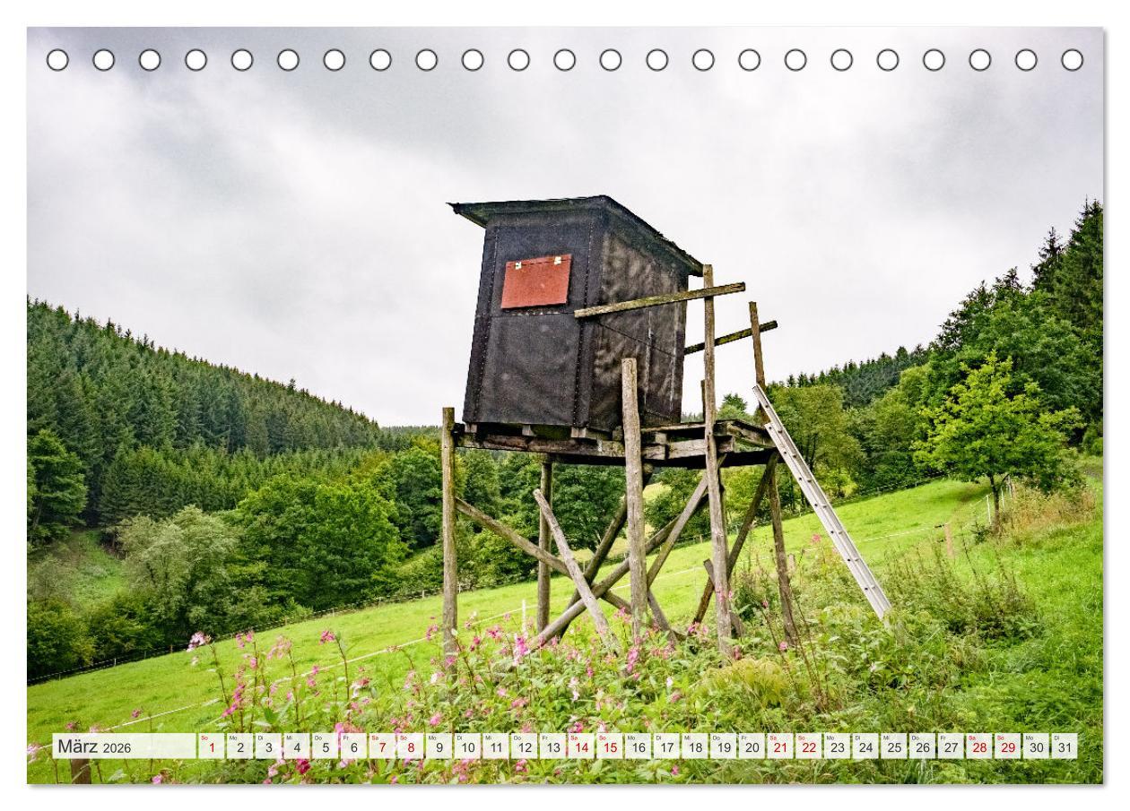 Beispielinhalt (Bild) Nationalpark Eifel - Schöne Tage im Grünen (Tischkalender 2026 DIN A5 quer), CALVENDO Monatskalender