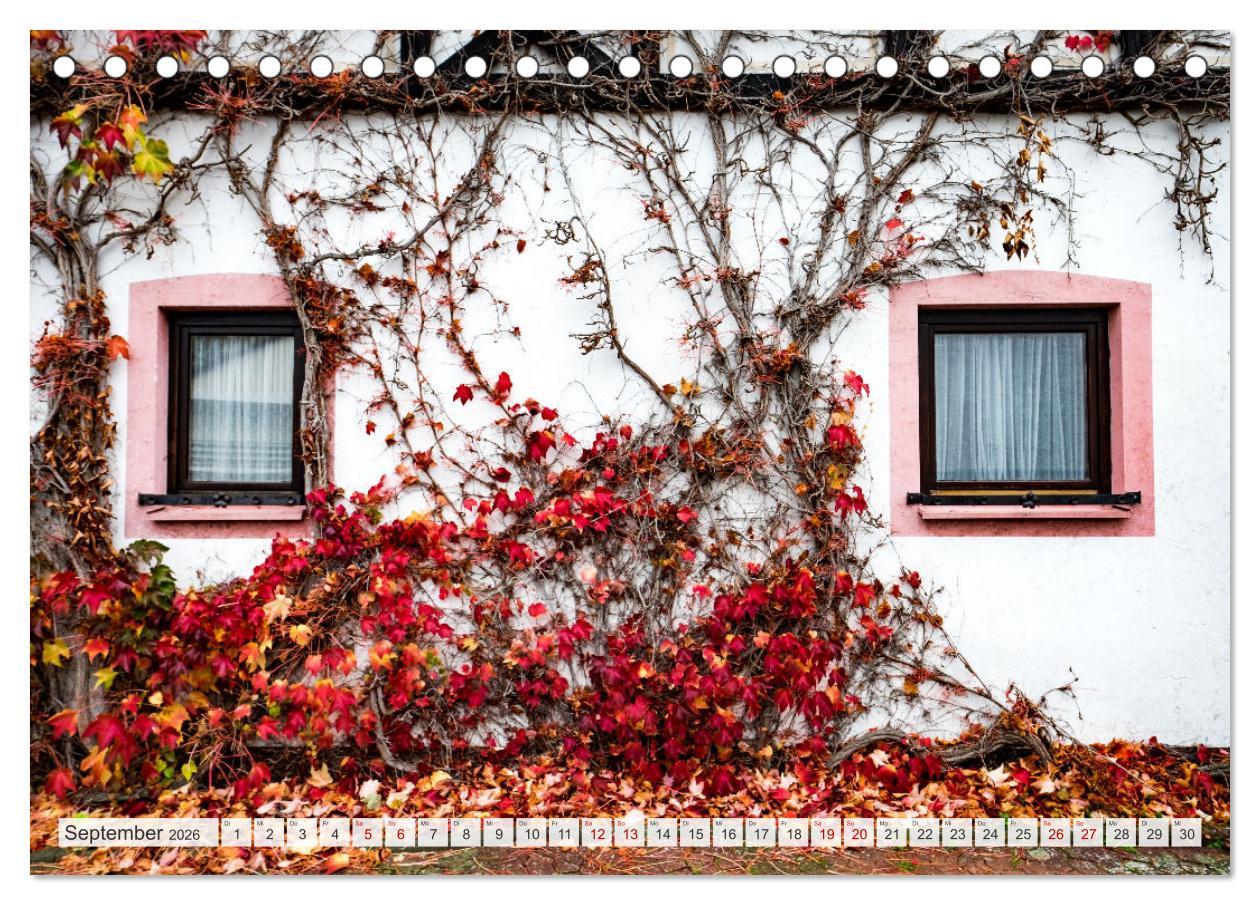 Beispielinhalt (Bild) Nationalpark Eifel - Schöne Tage im Grünen (Tischkalender 2026 DIN A5 quer), CALVENDO Monatskalender