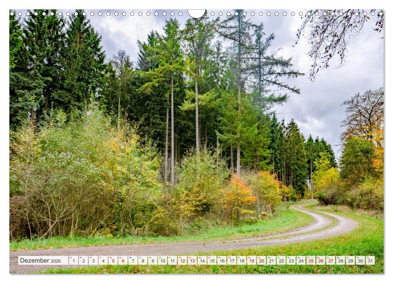 Beispielinhalt (Bild) Nationalpark Eifel - Schöne Tage im Grünen (Wandkalender 2026 DIN A3 quer), CALVENDO Monatskalender