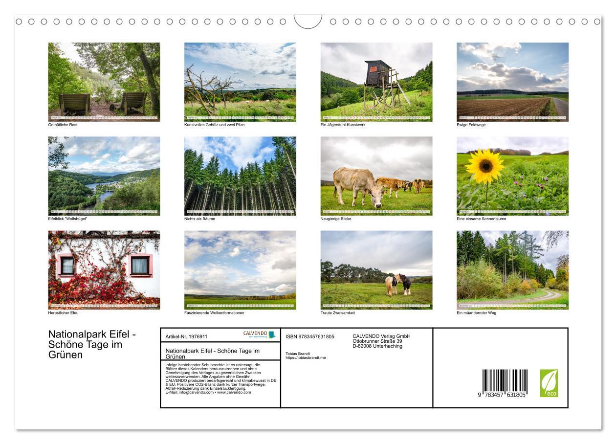 Beispielinhalt (Bild) Nationalpark Eifel - Schöne Tage im Grünen (Wandkalender 2026 DIN A3 quer), CALVENDO Monatskalender