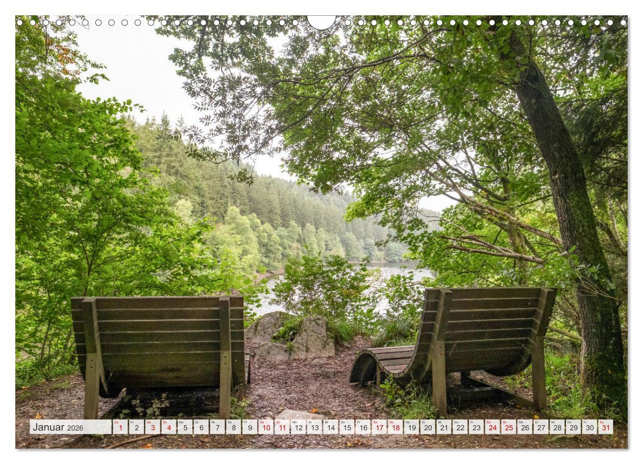 Beispielinhalt (Bild) Nationalpark Eifel - Schöne Tage im Grünen (Wandkalender 2026 DIN A3 quer), CALVENDO Monatskalender