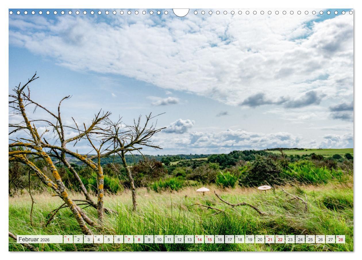 Beispielinhalt (Bild) Nationalpark Eifel - Schöne Tage im Grünen (Wandkalender 2026 DIN A3 quer), CALVENDO Monatskalender