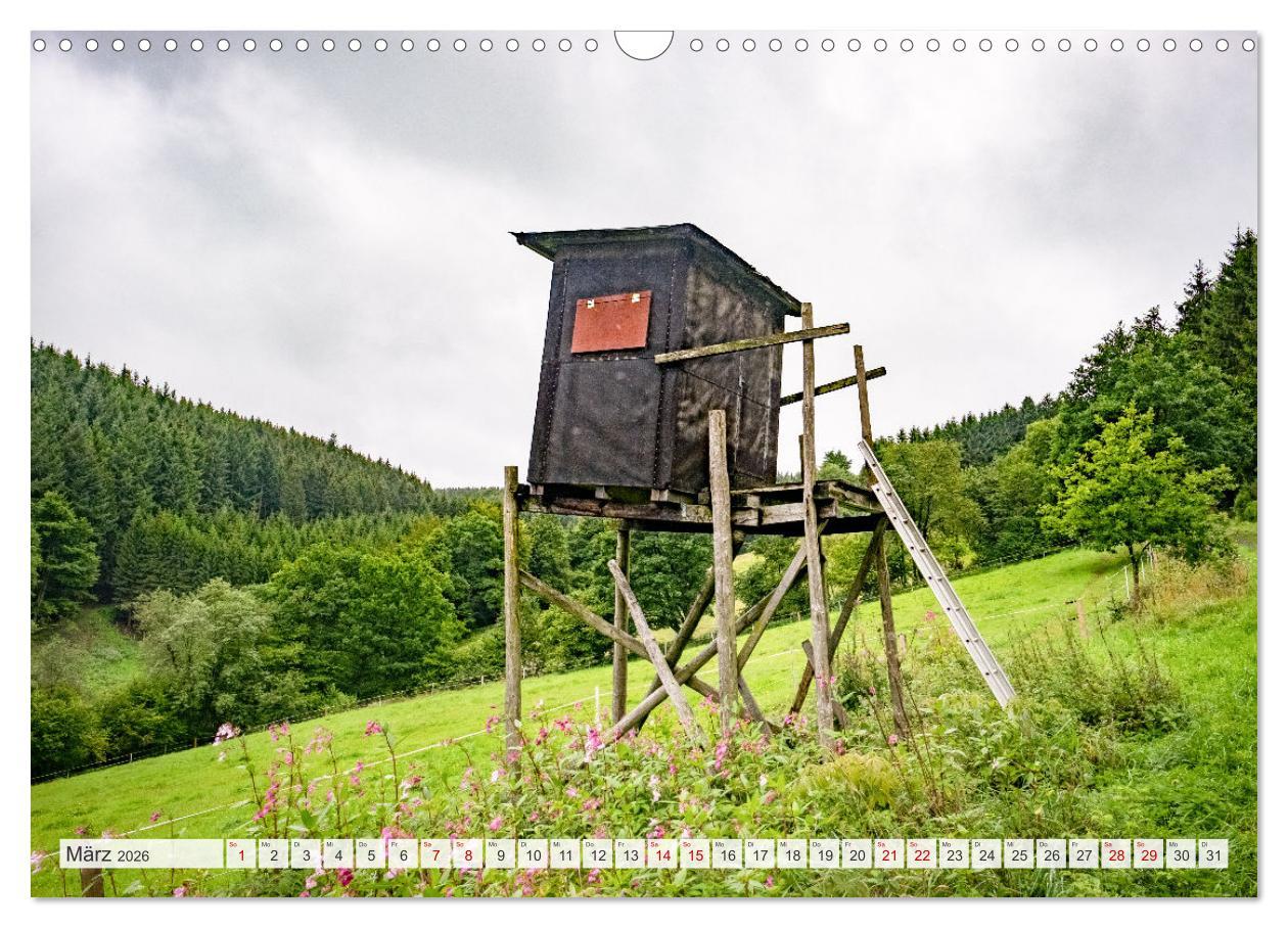 Beispielinhalt (Bild) Nationalpark Eifel - Schöne Tage im Grünen (Wandkalender 2026 DIN A3 quer), CALVENDO Monatskalender