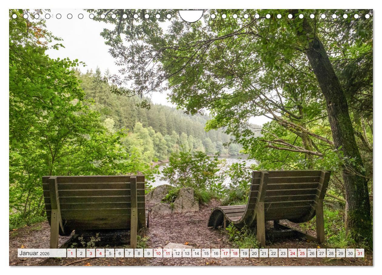 Beispielinhalt (Bild) Nationalpark Eifel - Schöne Tage im Grünen (Wandkalender 2026 DIN A4 quer), CALVENDO Monatskalender