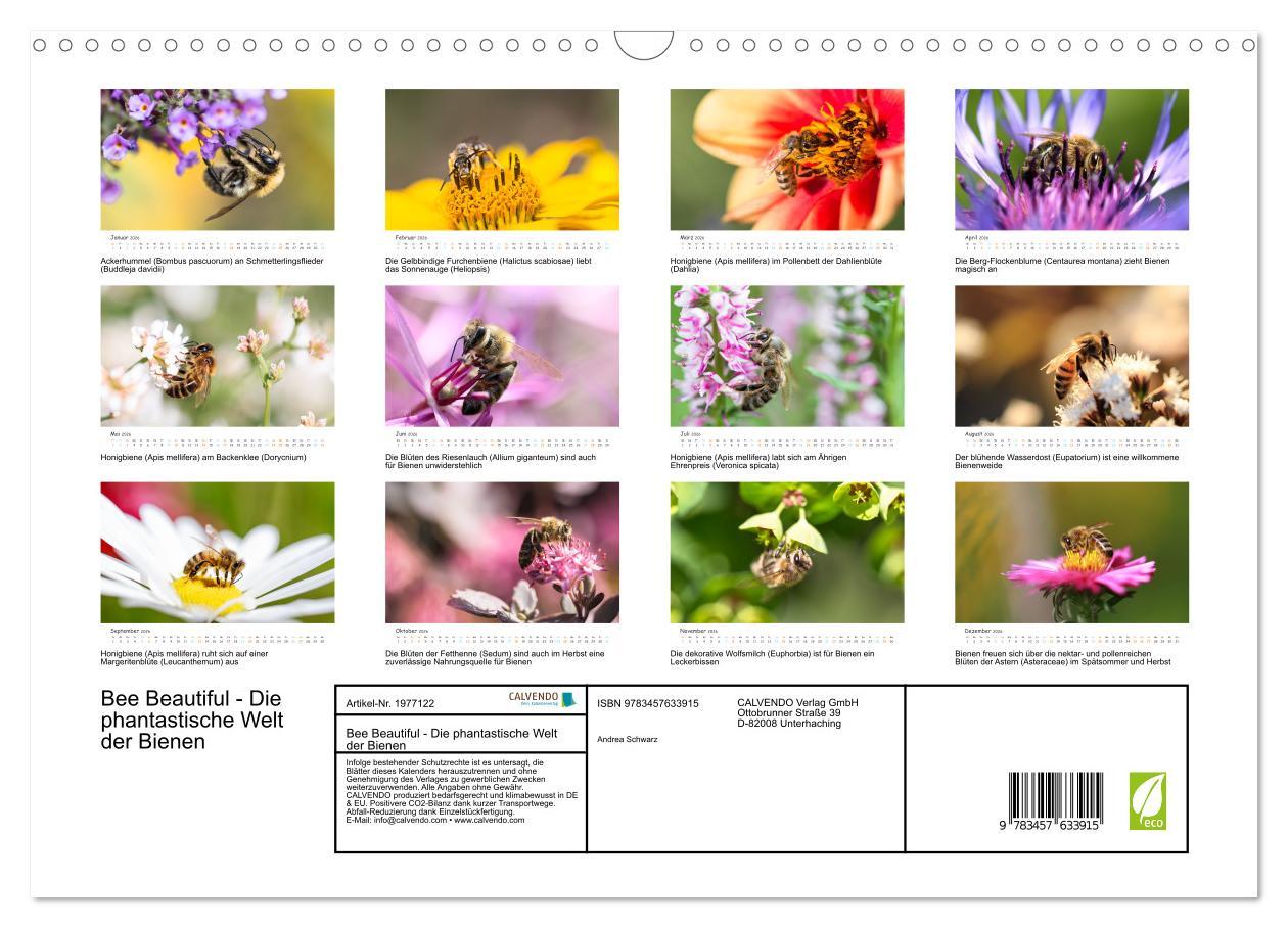 Beispielinhalt (Bild) Bee Beautiful - Die phantastische Welt der Bienen (Wandkalender 2026 DIN A3 quer), CALVENDO Monatskalender