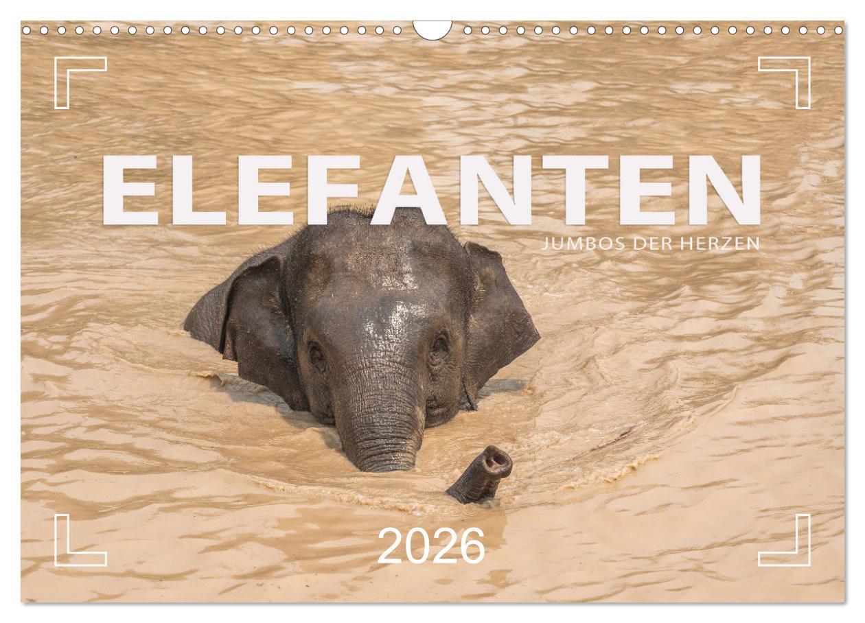 Vorderes Coverbild ELEFANTEN Jumbos der Herzen (Wandkalender 2026 DIN A3 quer), CALVENDO Monatskalender