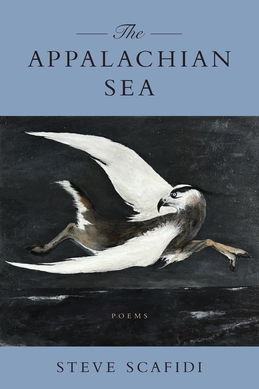 Vorderes Coverbild Appalachian Sea