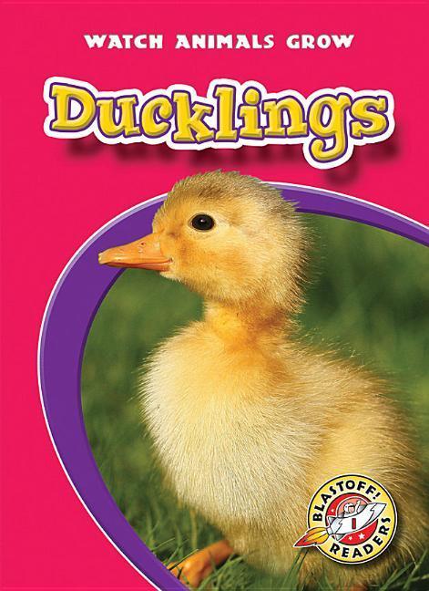 Vorderes Coverbild Ducklings
