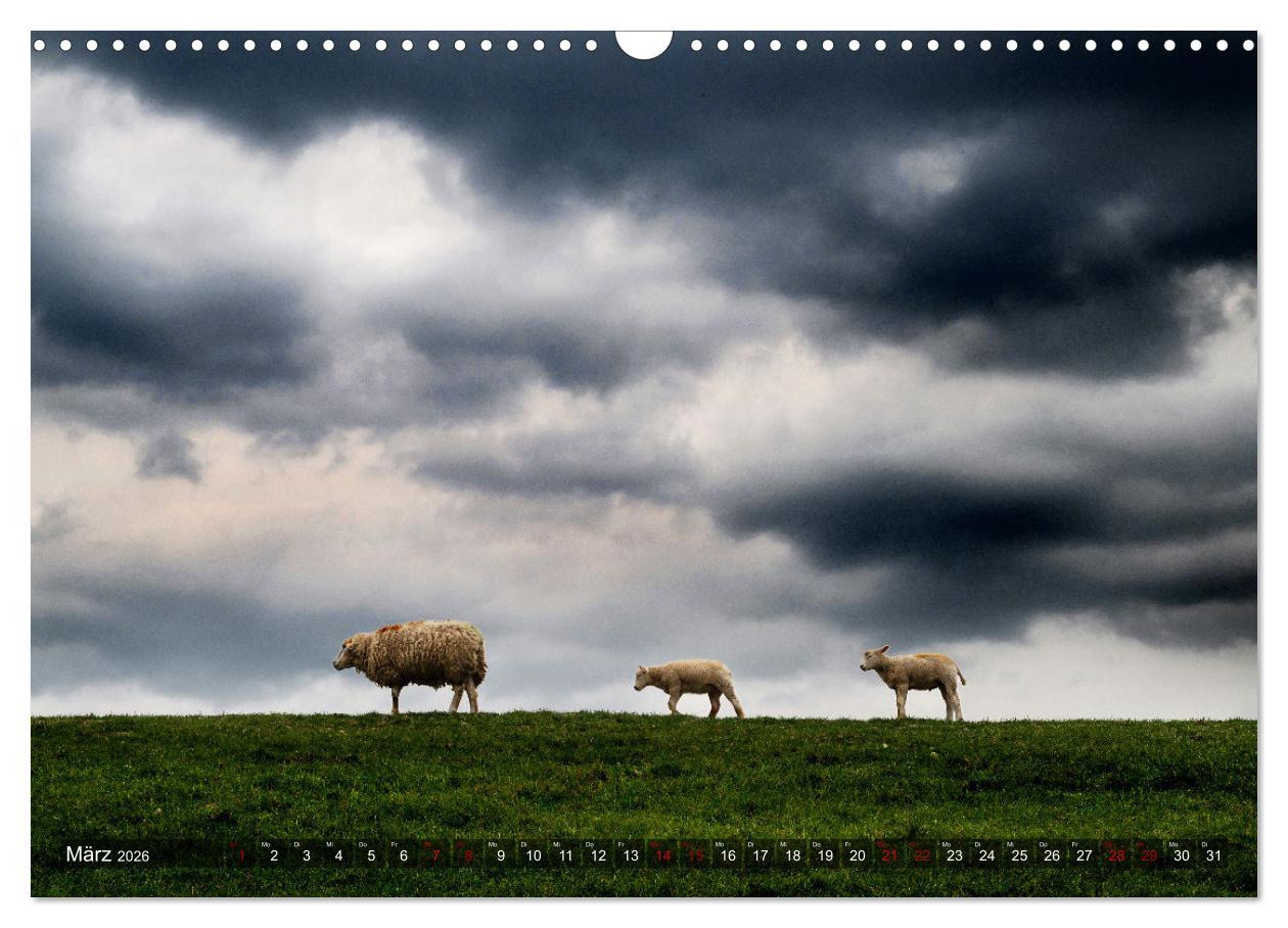 Beispielinhalt (Bild) Bis zum Horizont. Der Himmel über Norddeutschland. (Wandkalender 2026 DIN A3 quer), CALVENDO Monatskalender