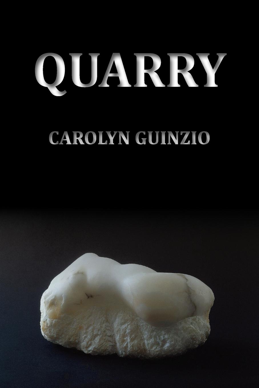 Vorderes Coverbild Quarry